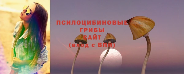 ПСИЛОЦИБИНОВЫЕ ГРИБЫ Гусиноозёрск