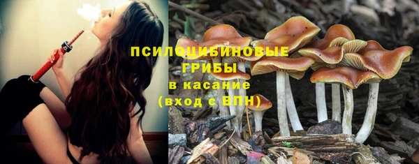 прущие крисы Алексин